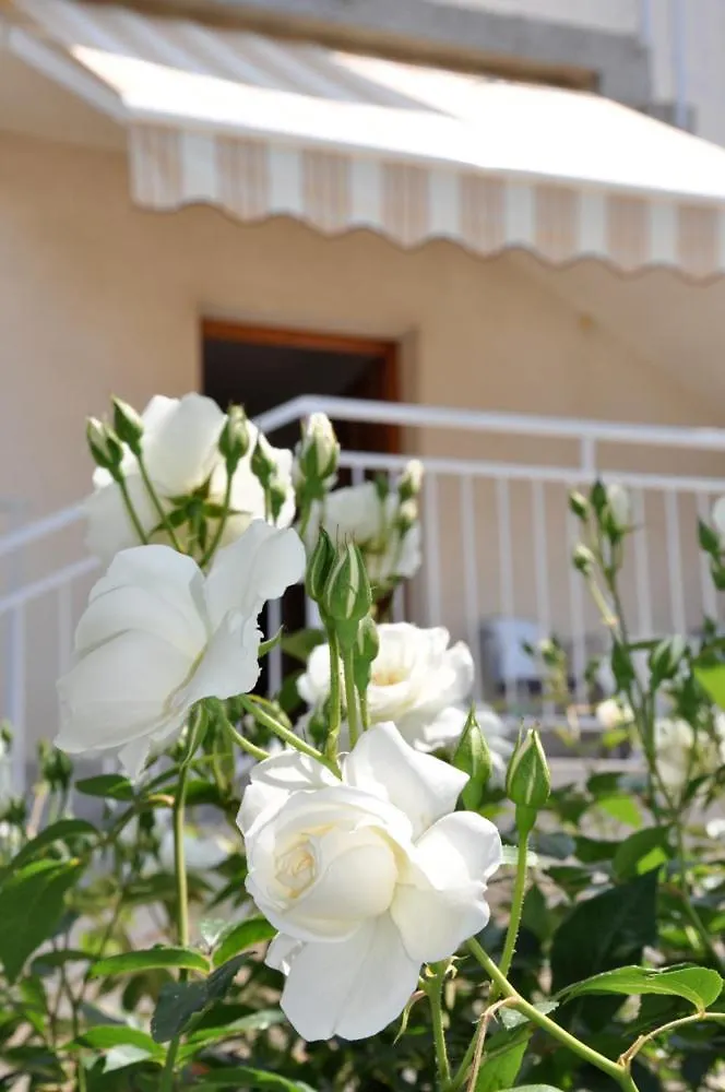 Guest house Apartment Bilic Pula