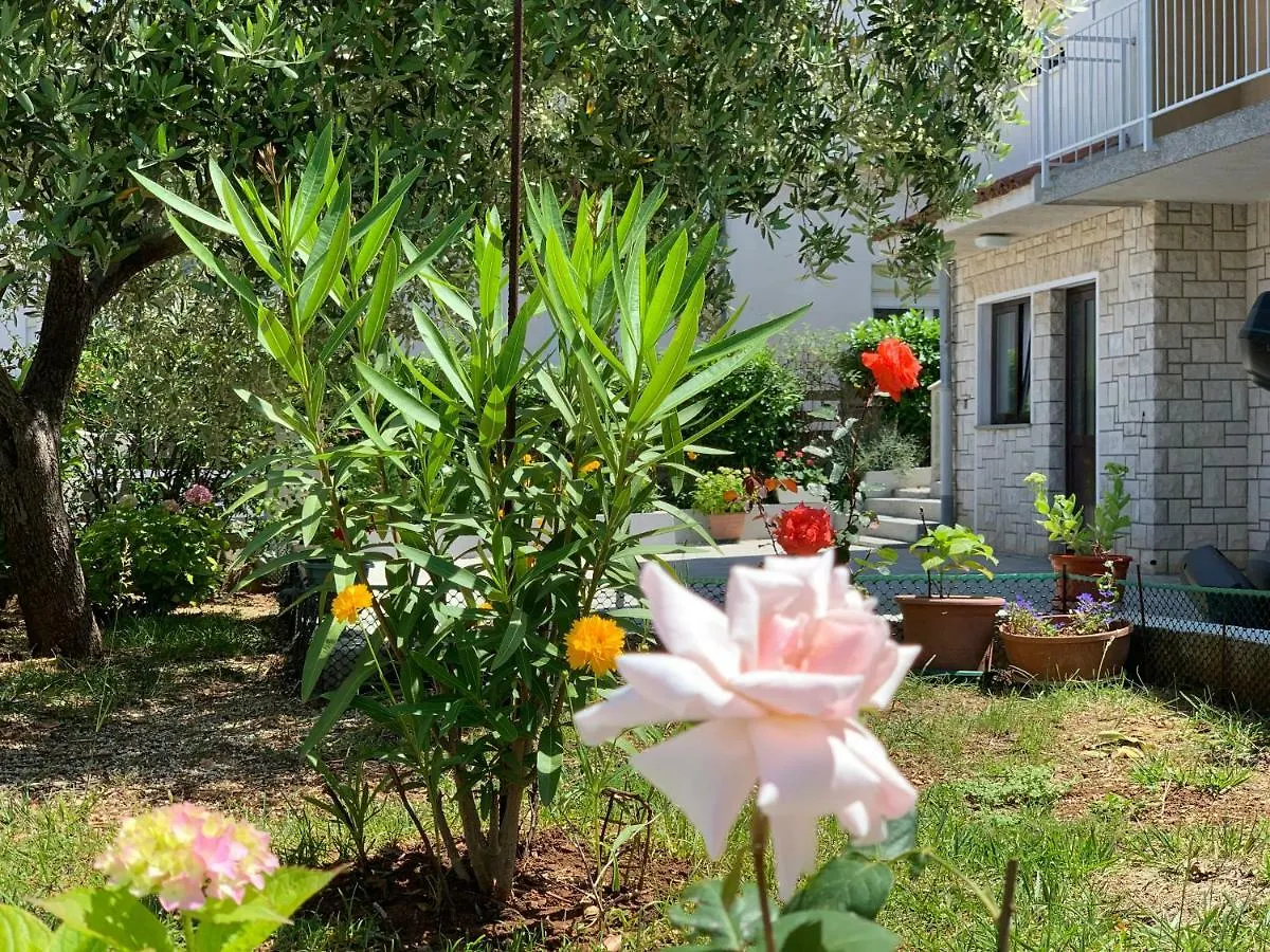 Apartment Bilic Pula Croatia